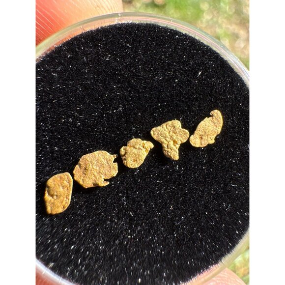 California Gold Nuggets in Display Case - 0.17 grams - Picture 6 of 6